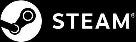 Steam
