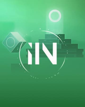 IIN